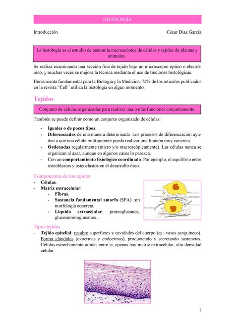 Pdf T Introducci N Histolog A Introducci N C Sar D Az Garc A