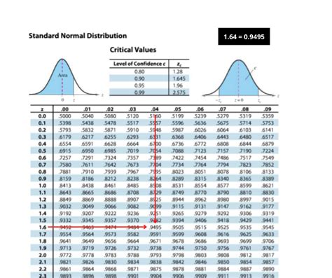 Hypothesis Test How To Perform Step By Step