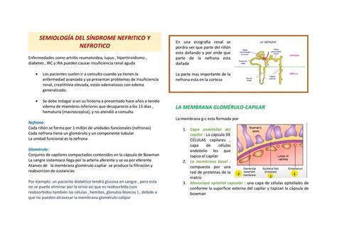 Semiología del sindrome nefritico y nefrotico Wendy T uDocz