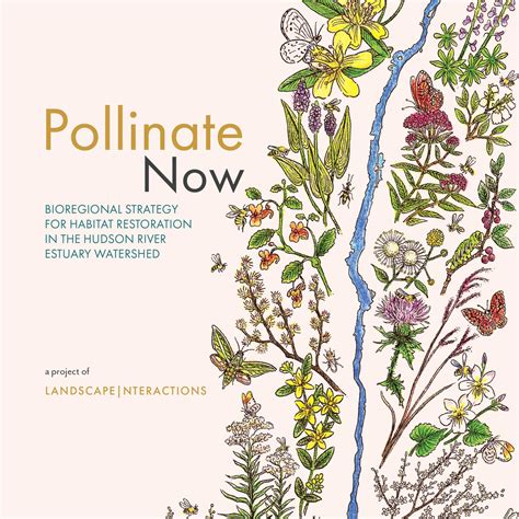 Pollinate Now: Bioregional Strategy for Habitat Restoration in the