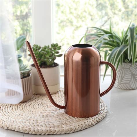 Long Spout Stainless Steel Pot Metal Watering Can Garden Flower Watering Bottle With Long Spout