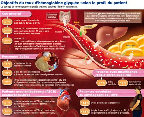 Schema De Traitement Du Diabete