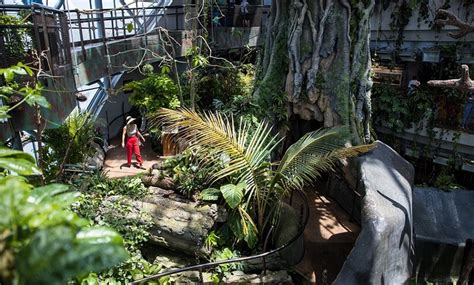 Green Planet Dubai Explore An Inside Tropical Rainforest