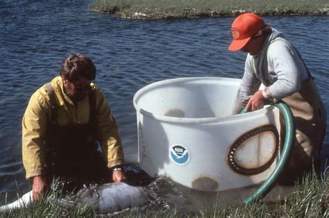 Sampling Photos Rutgers University Marine Field Station