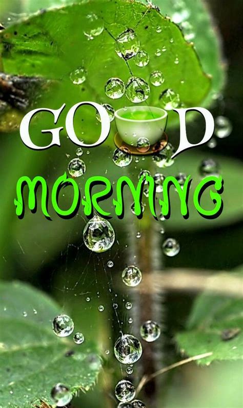 Good Morning Quotes on Nature