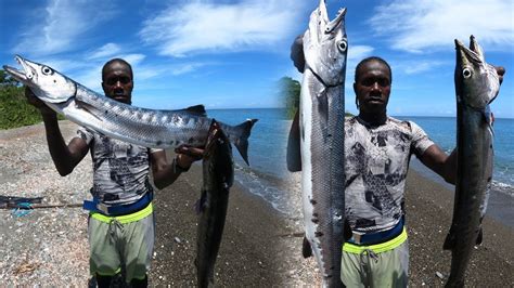 SPEARFISHING FOR THE MONSTERS OF THE SEA GIANT BARRACUDA CATCH YouTube