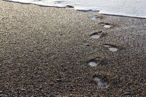 Empreintes De Pas Humides En Plage De Bardeau Photo Stock Image Du