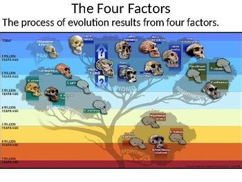 factors   science corner tpt