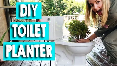 Turning My Toilet Into A Planter Grace Helbig