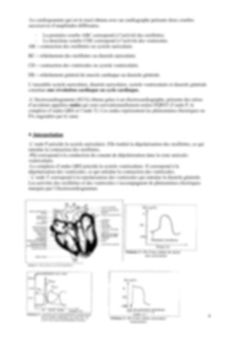 Solution Svt Td L Le Fonctionnement Du Coeur Studypool