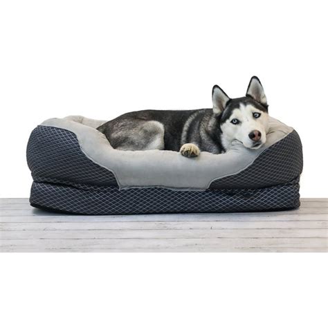 CHEW RESISTANT DOG BEDS (Free Shipping) | Chewy