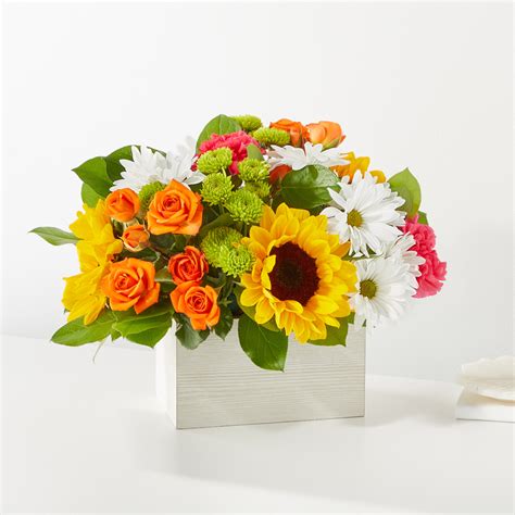 Sun Drenched Blooms Box Ashland Addison Florist Co