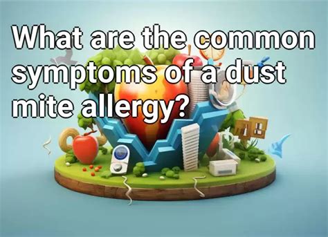 What are the common symptoms of a dust mite allergy? – Health.Gov.Capital