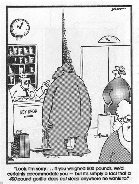 140 best Gary Larson cartoons images on Pinterest | Funny humor, Funny ...