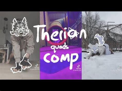 Therian Compilation Quads Requested Youtube