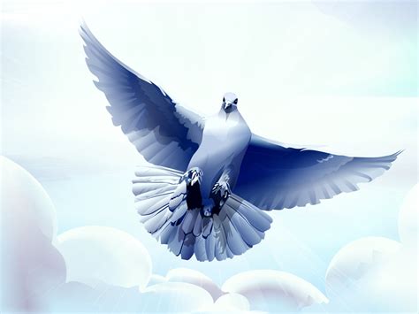 Painting of flying pigeon HD wallpaper | Wallpaper Flare