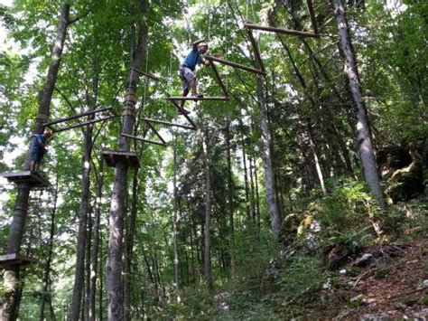 Boscopark Parco Avventura Bosco Chiesanuova Lo Que Se Debe Saber