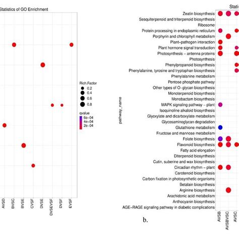 The Go Enrichment Scatterplot A And The Kegg Enrichment Scatterplot