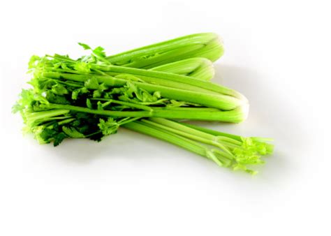 Celery Sticks, 1 lb - Kroger