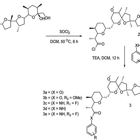 Reaction scheme for synthesis of nigericin derivatives | Download ...