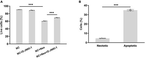 Frontiers The Ameliorative Effect Of Jnk Inhibitor D Jnki On