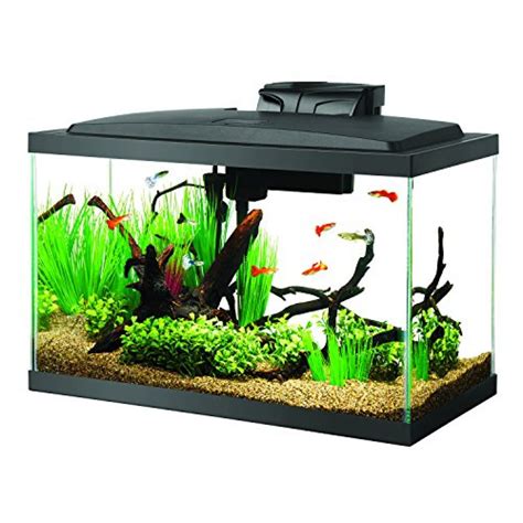 Aqueon Fish Aquarium Starter Kit Led Gallon Pets Trend Store