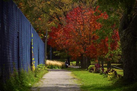 Waterloo Park. : r/uwaterloo