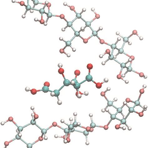 Simulated Intercalation Of Citric Acid Between Adjacent Cellulose Chains Download Scientific