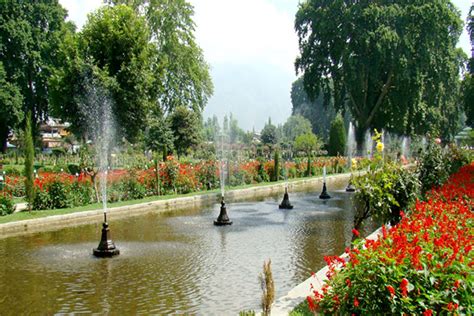 Gardens Of Shalimar In Kashmir Fasci Garden