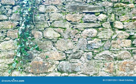 Medieval Old Ancient Stone Brick English Castle Wall Ivy Vines Texture