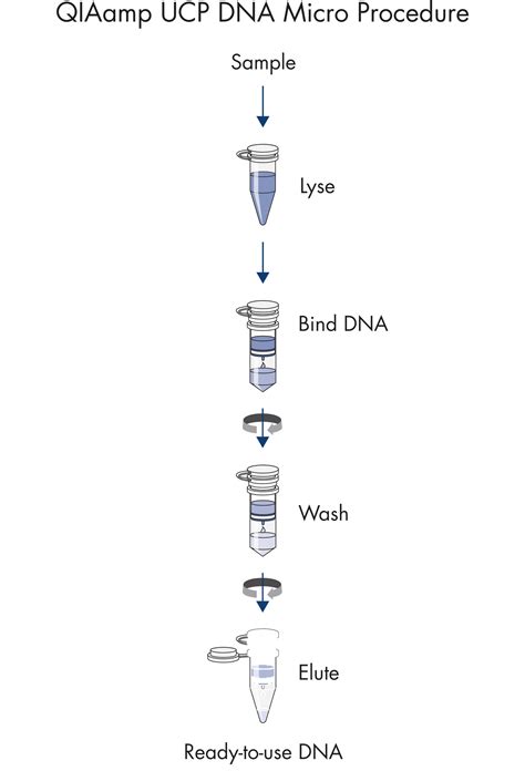 Qiaamp Ucp Dna Micro Kit