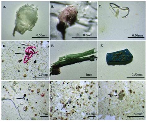 Photographs Of Different Types Of Typical Microplastics Mps Observed