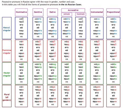 Possessive Pronouns Diagram Quizlet