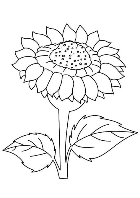 Print Coloring Image Momjunction Sunflower Coloring Pages Flower