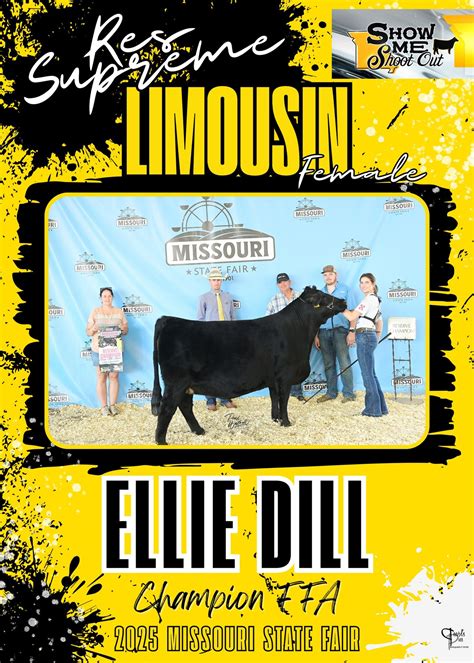 Missouri Limousin Breeders Association