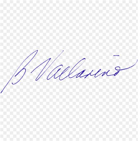 Signature Pen Png Best Prices | www.rosmaninhoazevedo.com