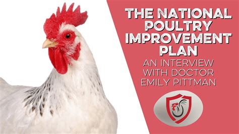 The National Poultry Improvement Plan An Interview With Doctor Emily