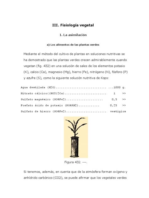 PDF Fisiologia Vegetal DOKUMEN TIPS