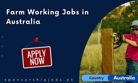 Farm Working Jobs In Australia 2024 Visa Sponsorship