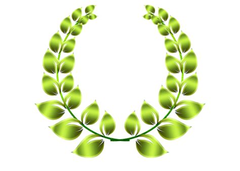 Green Laurel Wreath 1 Year Sport Nature Pride PNG Transparent Image