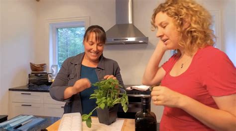 Comment Conserver Ses Fines Herbes Mjardiner