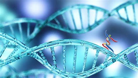 How Genes and Environment Interact | Activate Happy Genes 