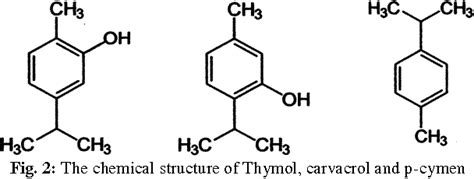 Pdf Medicinal And Functional Values Of Thyme Thymus Vulgaris L