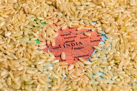 India Considers Lifting Rice Export Curbs