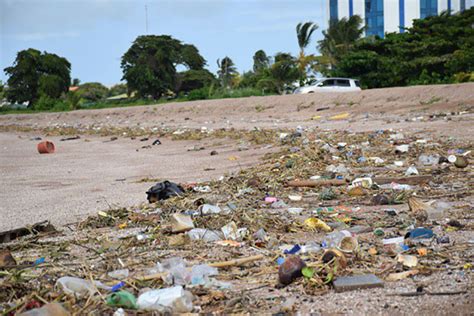 Plastics Affect Our Biodiversity Guyana Chronicle