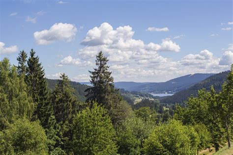 2023 Bestes Jahr Aller Zeiten Schwarzwald Bricht Seine Tourismusrekorde