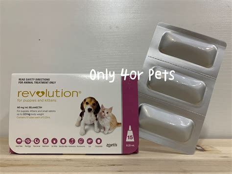revolution bb onlyorpets