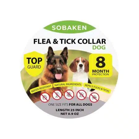 Best Flea Collar For Dogs: Small & Large Breeds, Alternative & More ...