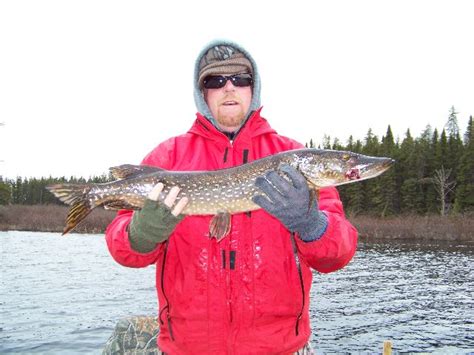 Spring 2009 Fish Trip Kapitachuan Club Senneterre Area Quebec