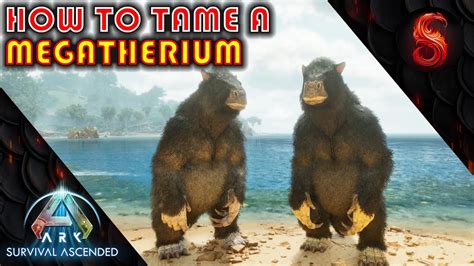 ARK SURVIVAL ASCENDED HOW TO TAME A MEGATHERIUM YouTube